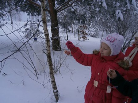 Природоохоронна акція «Годівничка»